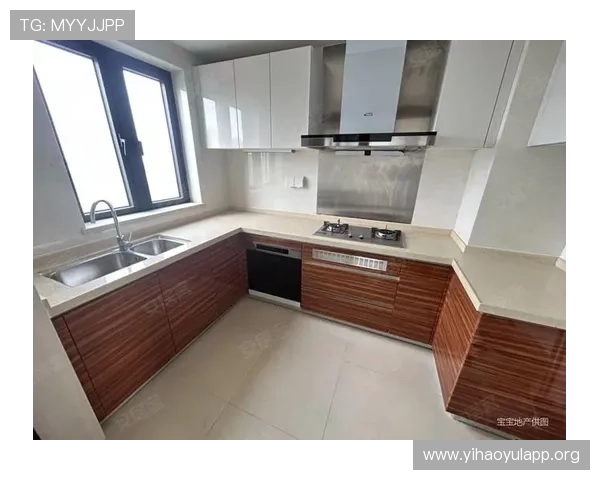 作品壹号房子怎么样详细评测与用户真实体验分享